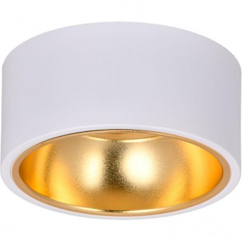 Накладной потолочный светильник IEK Lighting 4017 под лампу gx53 белый/золото Накладной потолочный светильник IEK Lighting 4017 под лампу gx53 белый/золото
