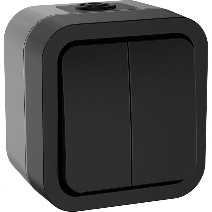 Выключатель двухклавишный IEK TORS 10А IP55 графит TS-V20-0-10-55-K53 Выключатель двухклавишный IEK TORS 10А IP55 графит TS-V20-0-10-55-K53